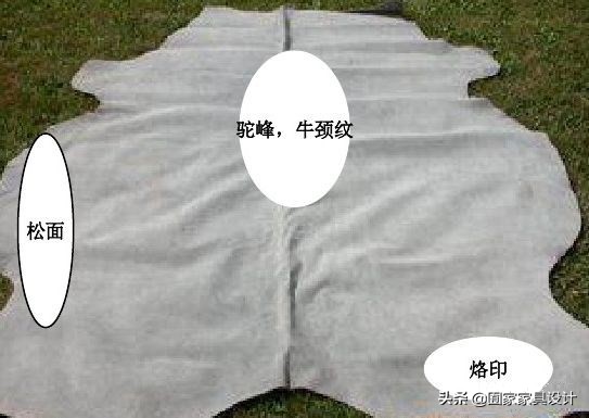 家具头层牛皮知识,家具面料知识讲解
