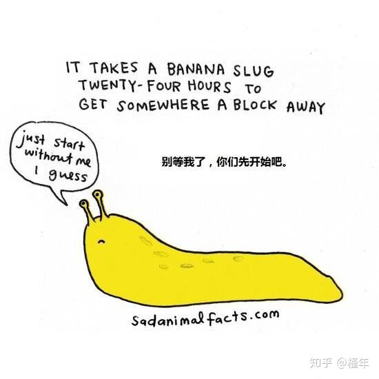 想象中不一样的动物冷知识,悲伤的动物视频