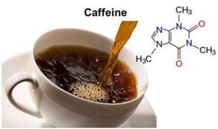 奶茶是奶和茶的结合体吗,奶茶即是奶又是茶