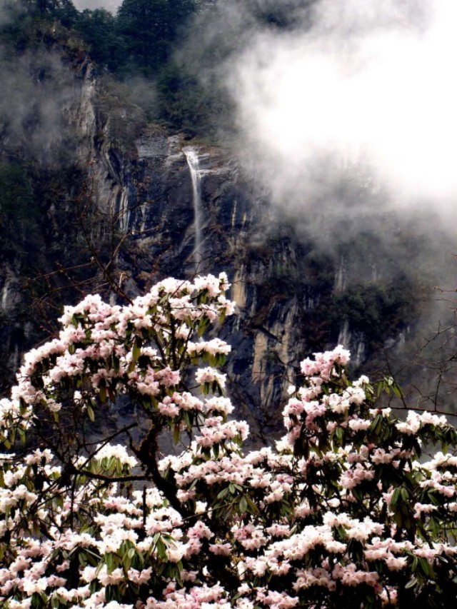 四川海螺沟景区六绝，这个夏天给你好看