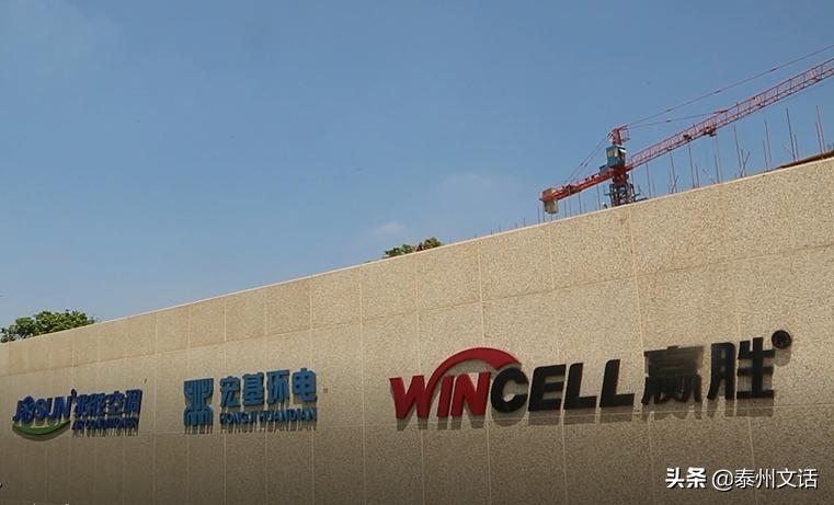 泰兴受表彰的十强企业,泰兴市工业50强