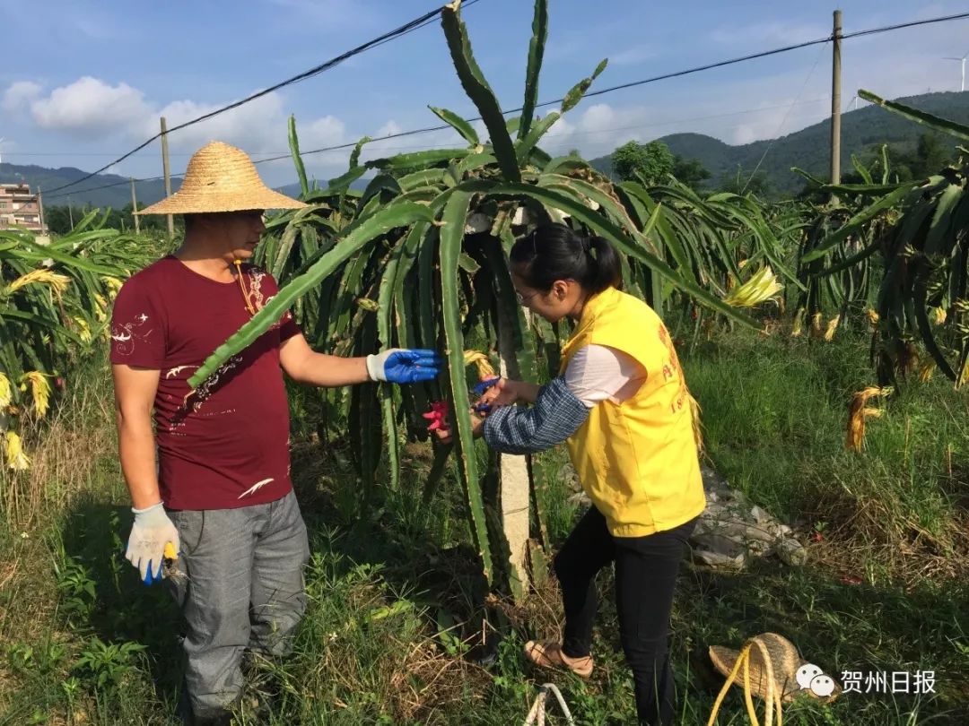 摔成中度脑震荡，醒来依然惦记着贫困户...