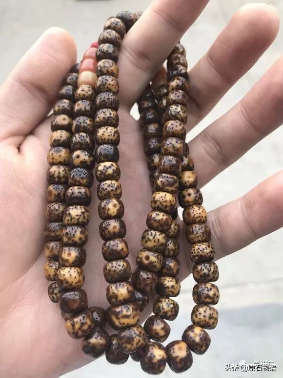 星月菩提一般几个籽,星月菩提只要是真的就可以玩