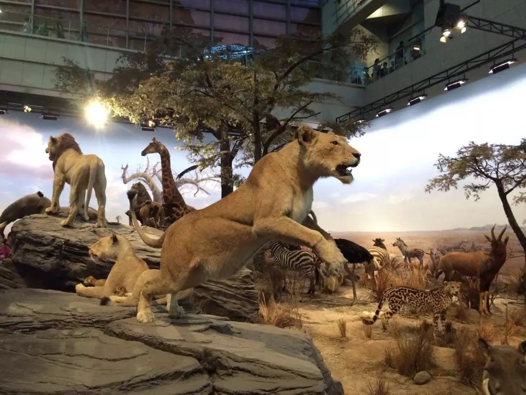 在上海一个月工资两万什么水平,月薪不过3万的看过来