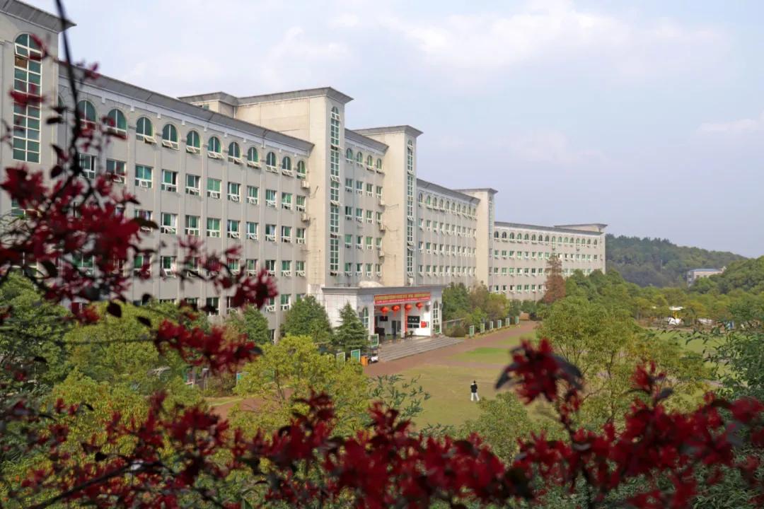 迎接校园里的百花齐放,教室窗外百花齐放