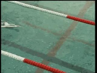 自由泳滚翻转身蹬壁,前滚翻动作练习方法步骤