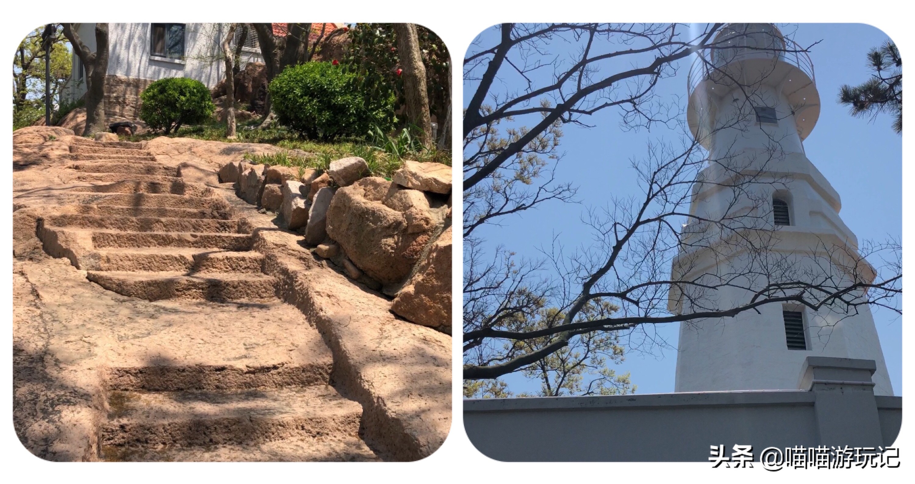 小青岛公园门票多少钱,青岛公园8块5