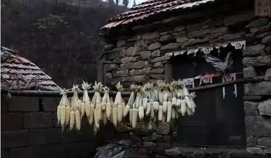 老嫂子直播间,老嫂嫂