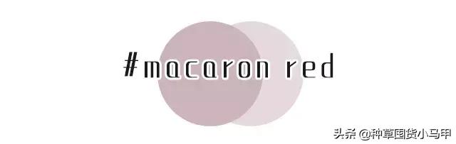 售卖假货引众怒,专柜售假