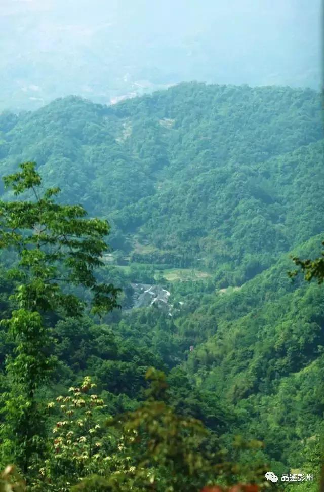 五朵金花抱团,彭州未来的发展