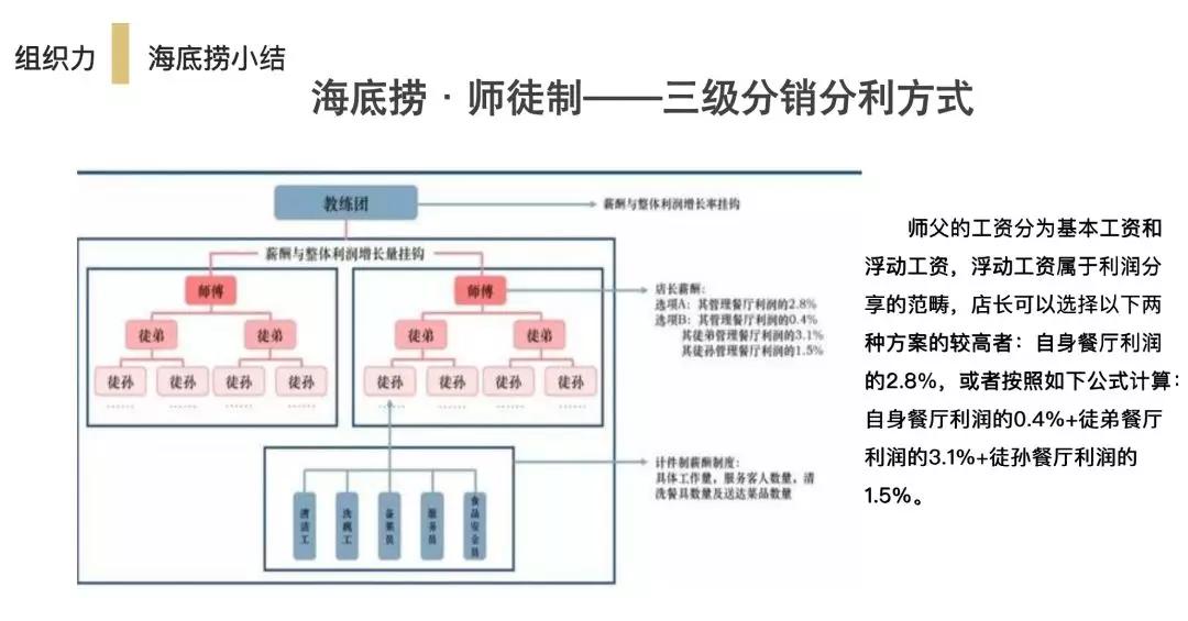 海底捞张勇最高身价排行,海底捞掌门人张勇个人简历
