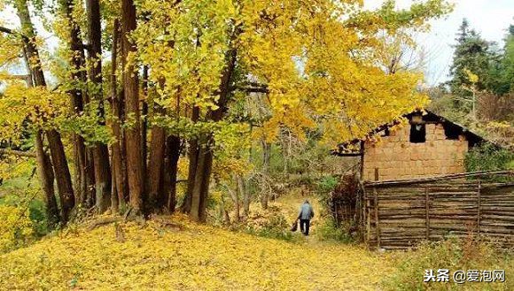 广东粤北最美公路,粤北最美的国道是哪条线