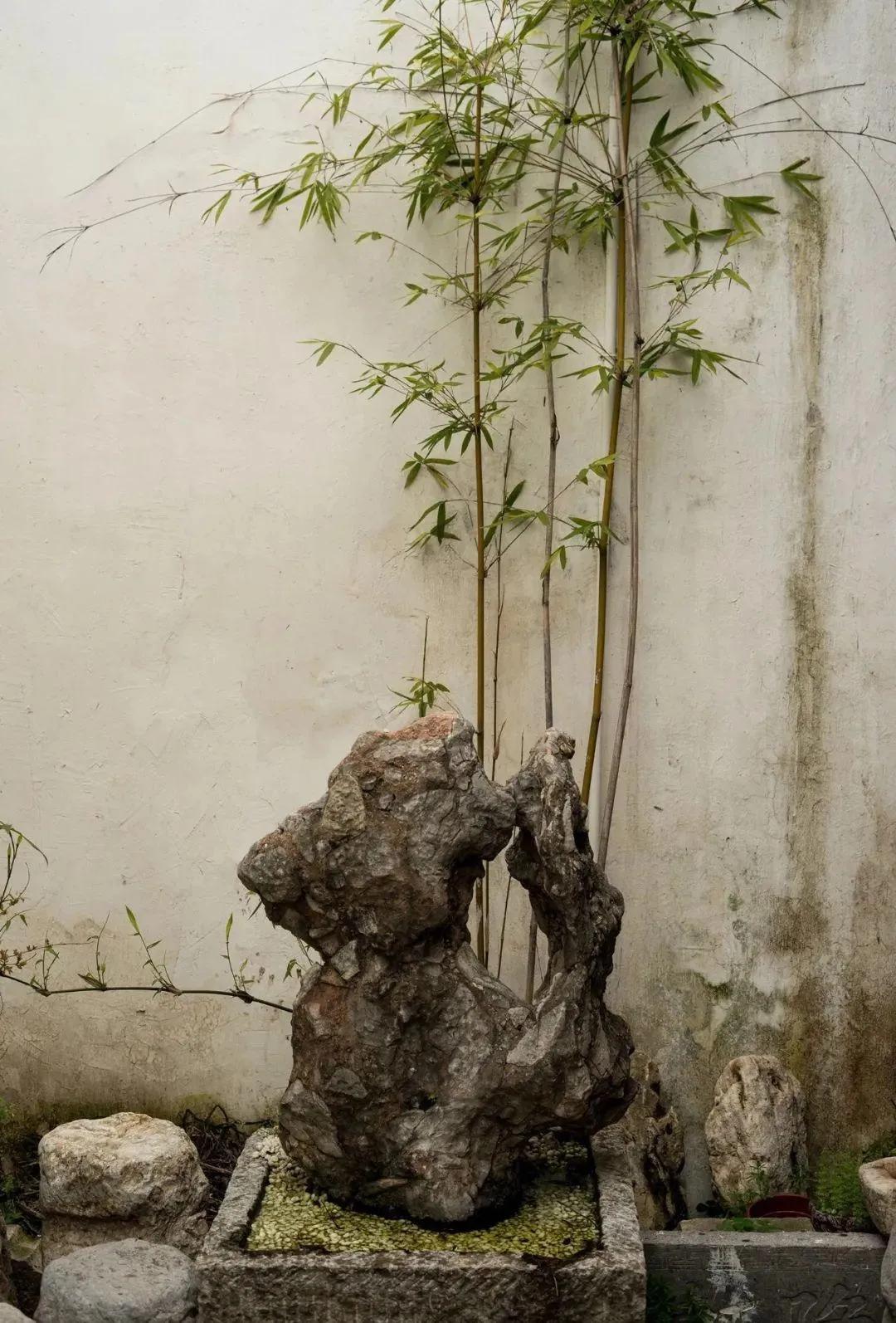 降坡泥是怎么形成的,段泥和降坡泥分布图