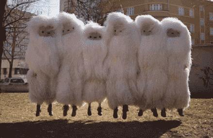 90%白鸭绒羽绒服充绒量是什么意思,羽绒服白鸭绒充绒量标准多少