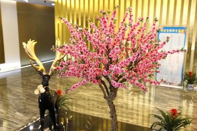 足道299套买一送一,价值269元单人养生足道套餐