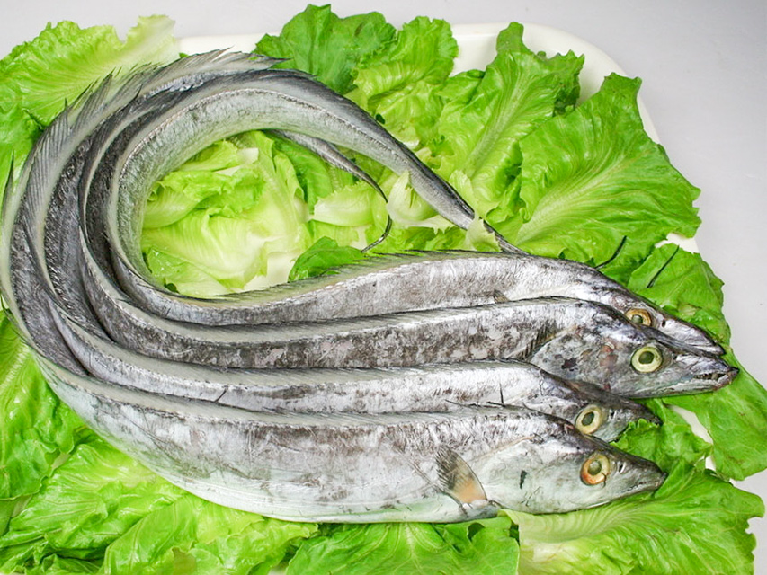 炖鱼放什么提鲜去腥好吃,炖鱼放什么料调味好吃窍门