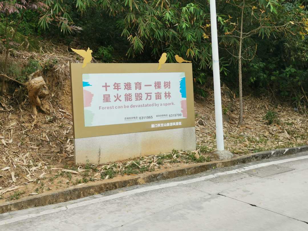 厦门市天竺山一日游,厦门天竺山攻略