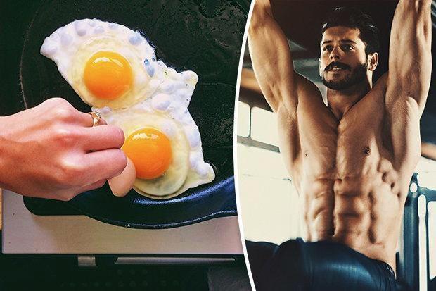 吃蛋白质可以提高免疫力吗,吃蛋白质可以提高代谢吗