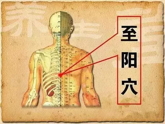 快速解酒药西药,快速解酒药有效吗