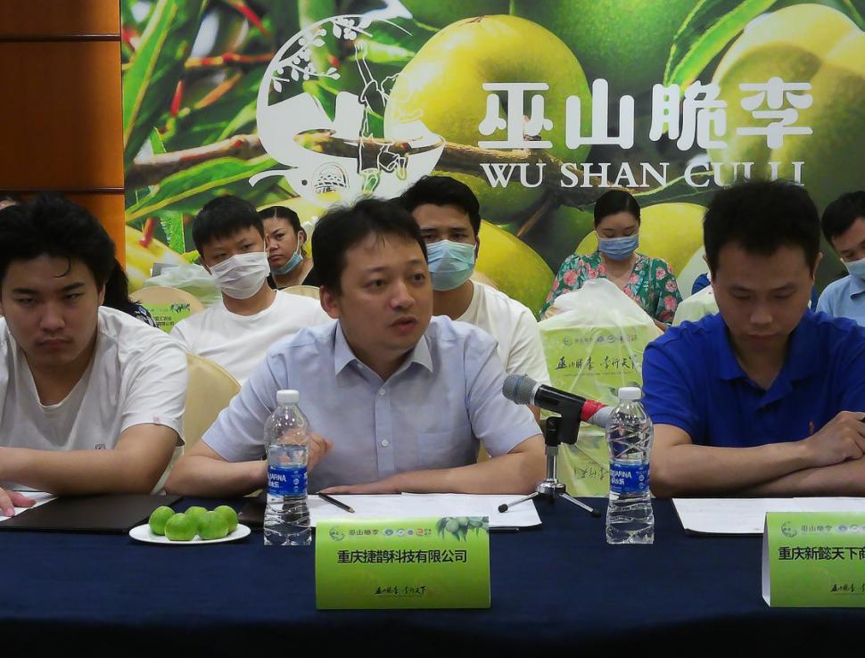 重庆巫山脆李品牌推介会,巫山脆李指定经销商