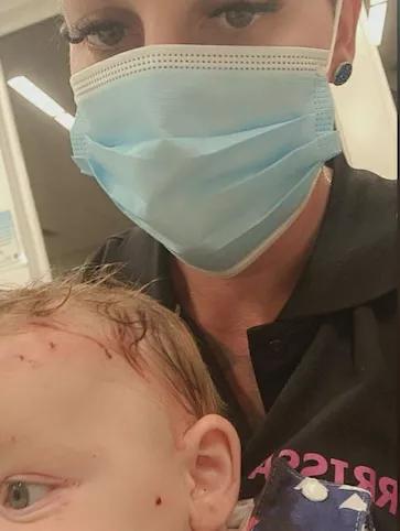 澳大利亚鼠灾事件视频,澳大利亚鼠灾真实事件