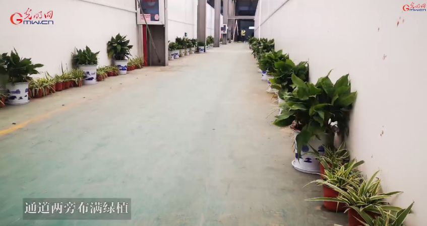 新冠肺炎医疗费,新冠肺炎治疗费多少钱