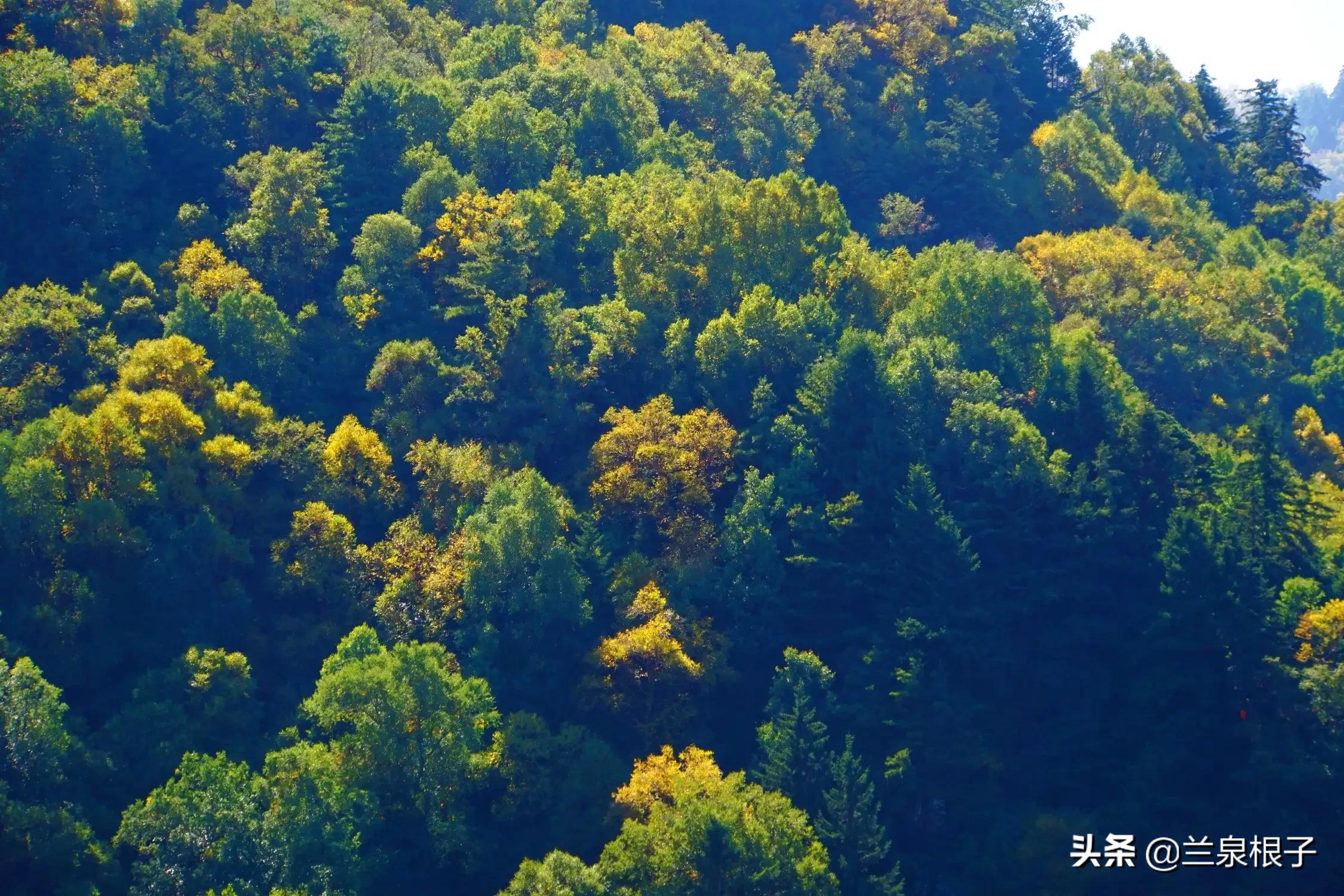 秋天的孟达天池,美丽的孟达天池