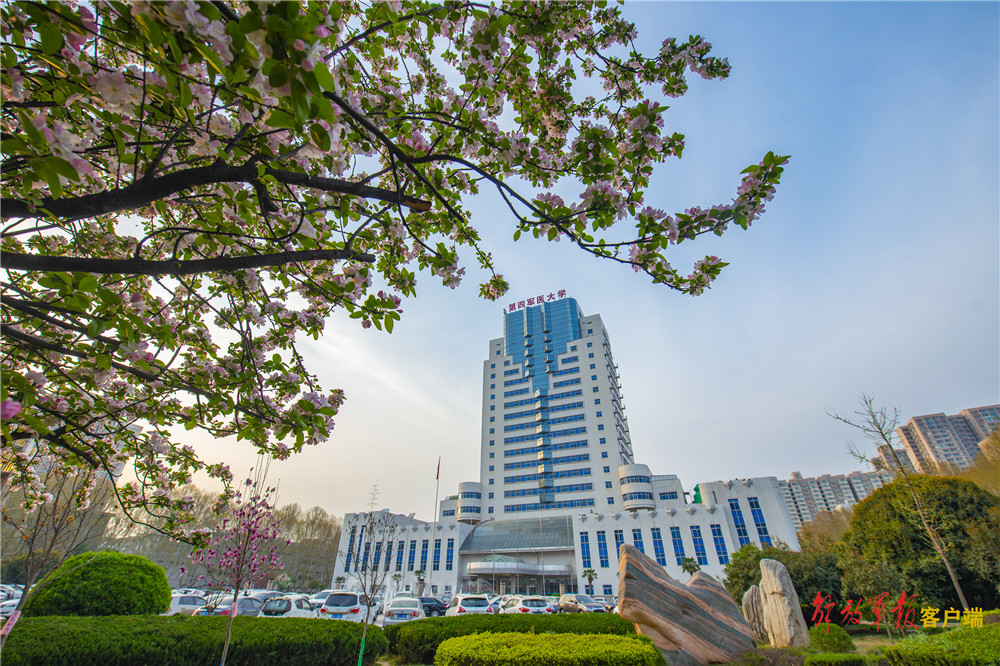 空军军医大学优良传统,空军军医大学80周年校庆