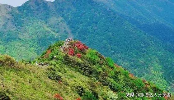 户外徒步广州一日游推荐,广州最美徒步登山经典路线