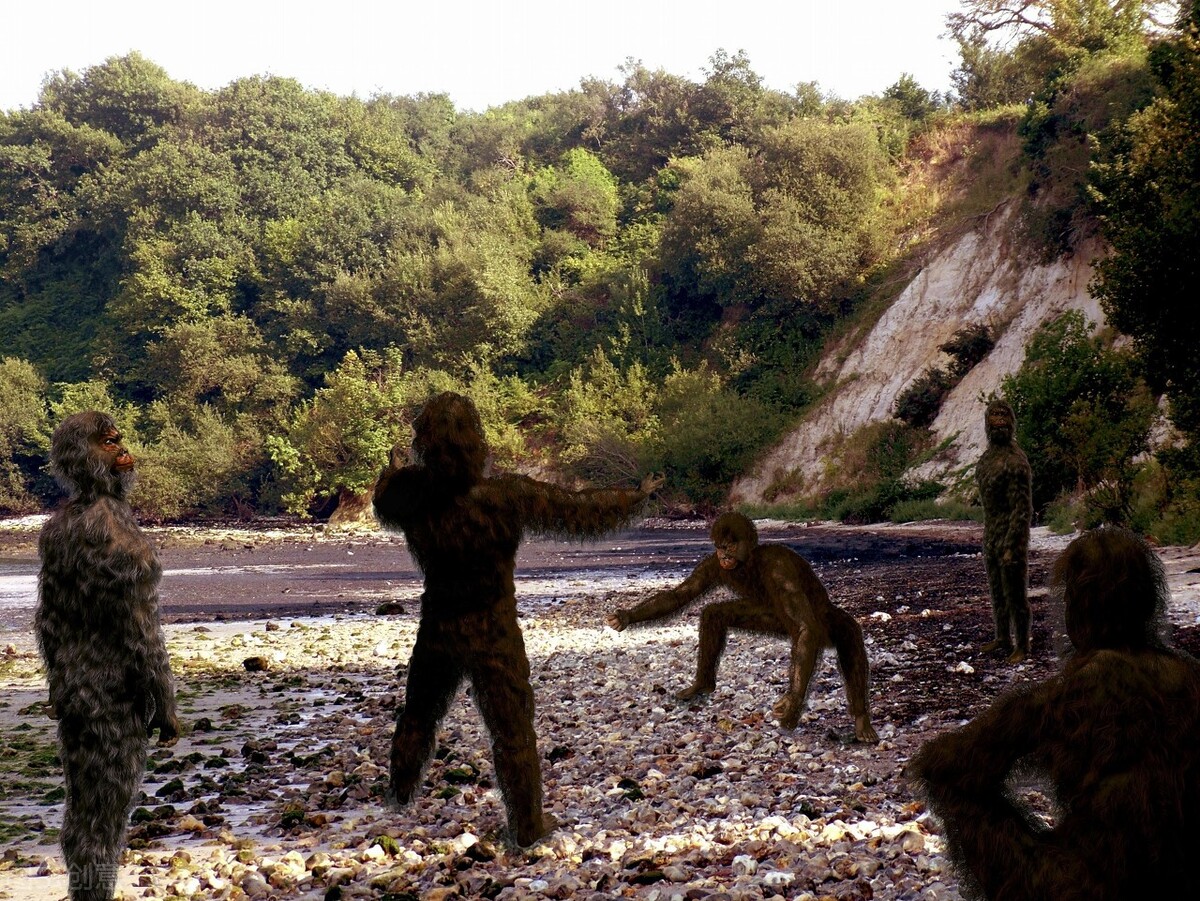 为何脱毛？114万年前人类褪去毛发，留下腋窝、阴毛究竟有啥用？