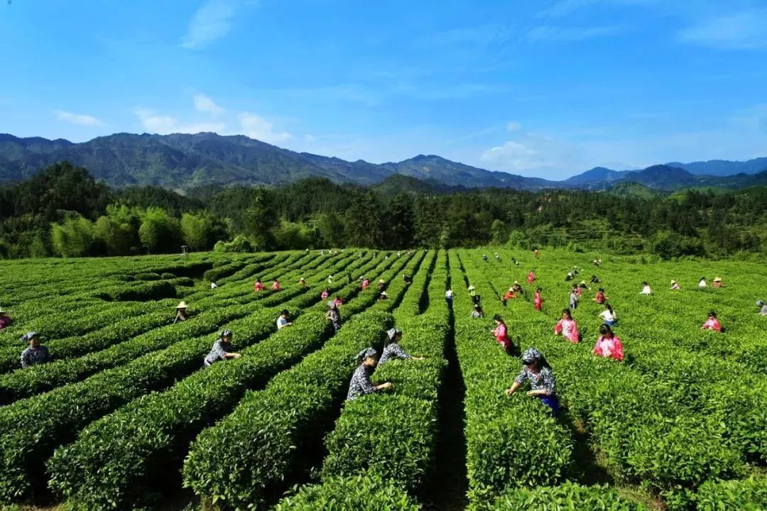 世界看湖南,世界看湖南2017视频