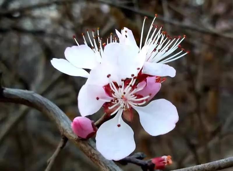 手拍世界近期作品,手拍世界微信公众号