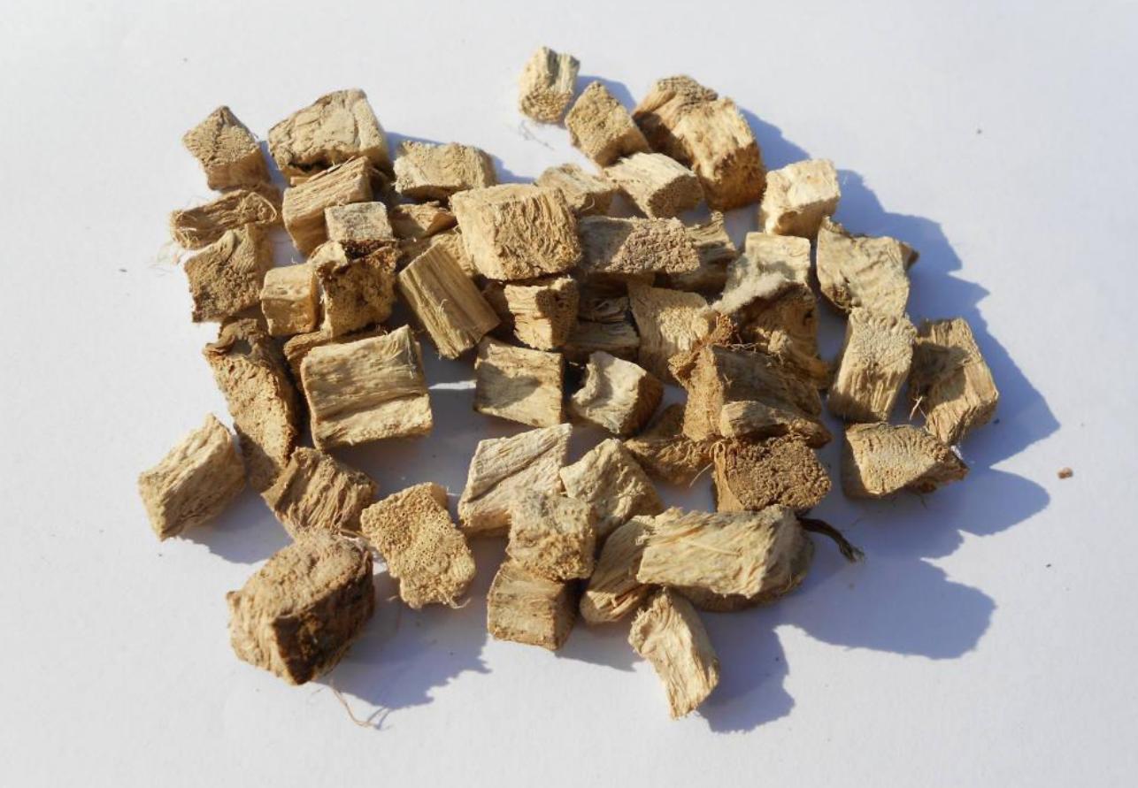 葛根在哪些国家泛滥成灾,在美国泛滥成灾的葛根