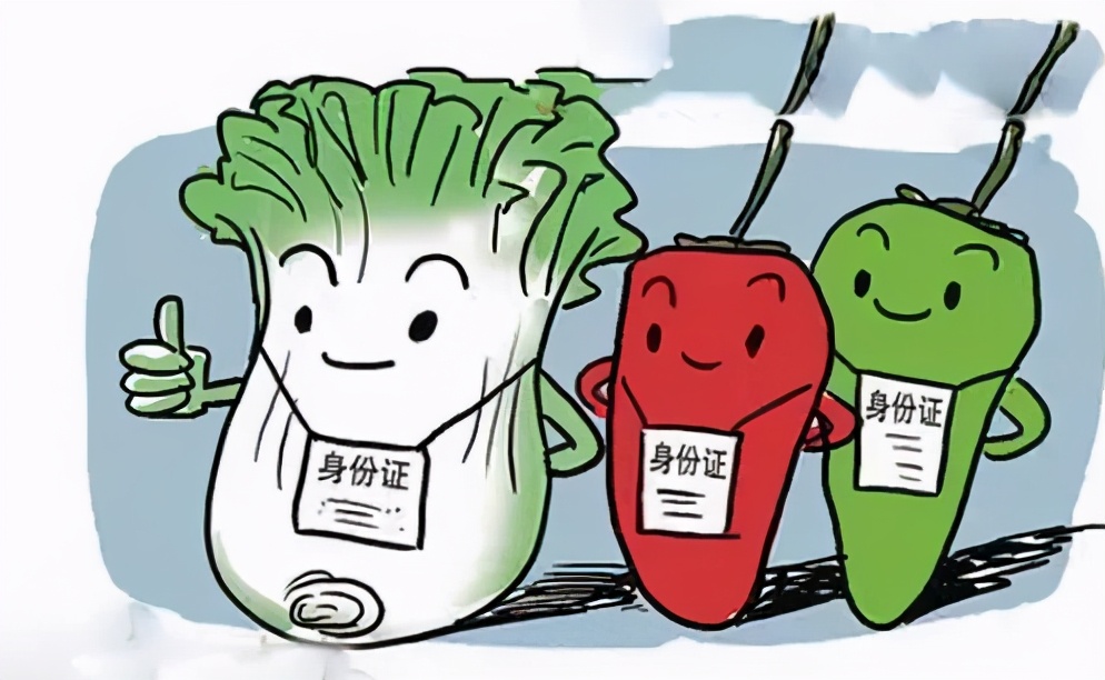 剁手前请三思,剁手前先看什么