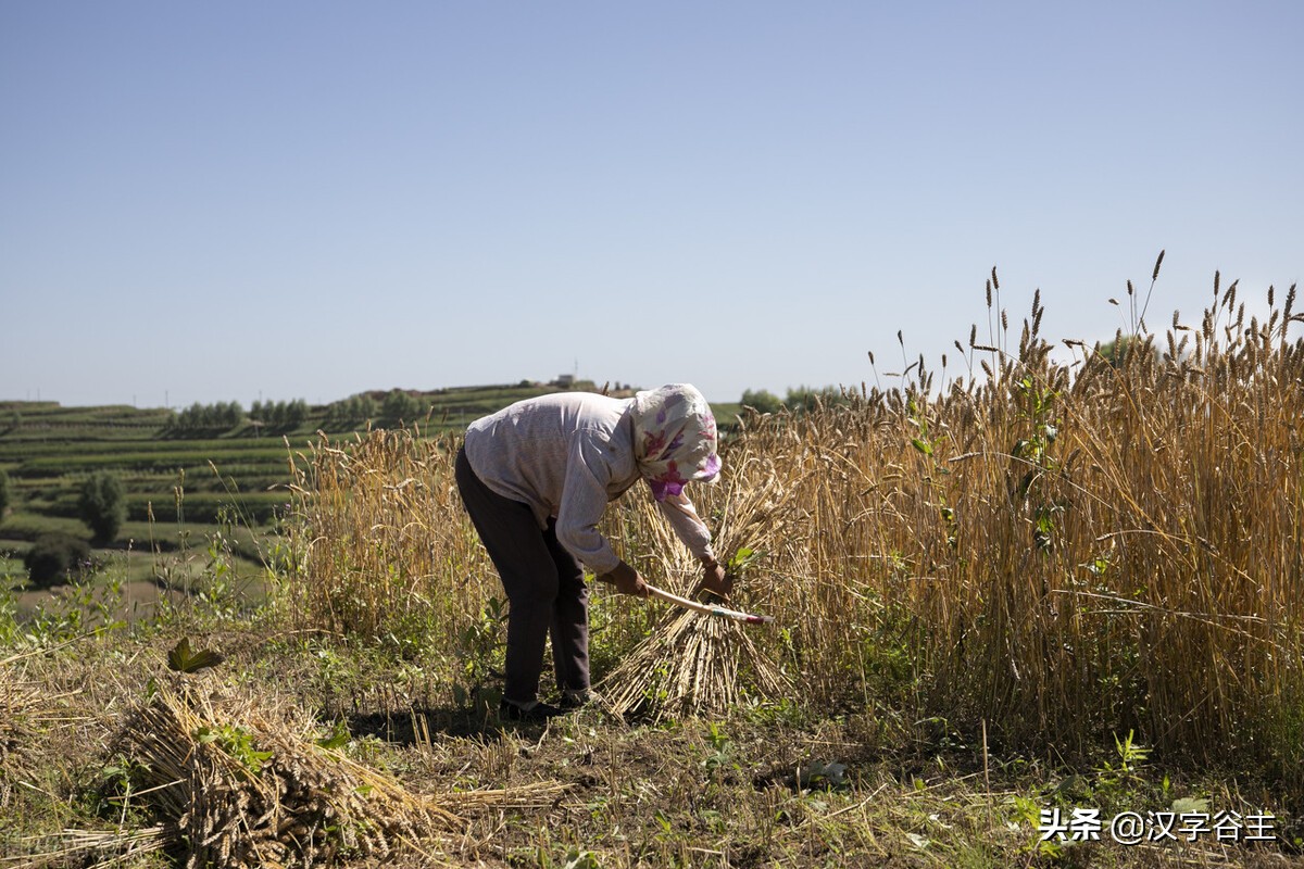 汉字由什么演变而来的,汉字从何演变而来