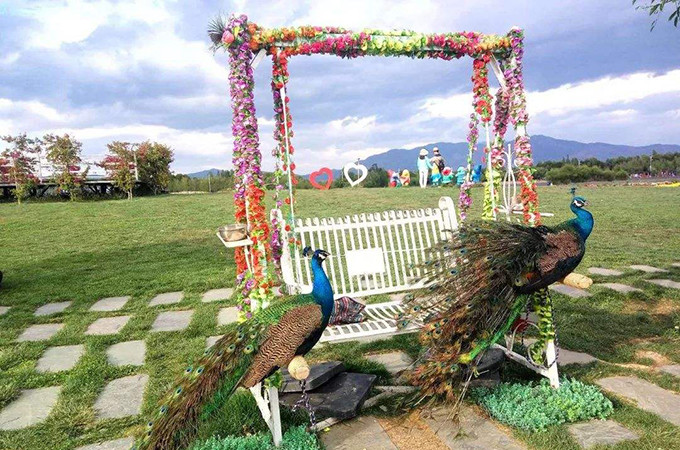 洱海旅游景点攻略,西安洱海旅游攻略必去景点