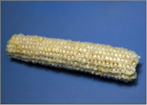 玉米芯施兰花肥,虎皮兰能用复合肥追肥吗