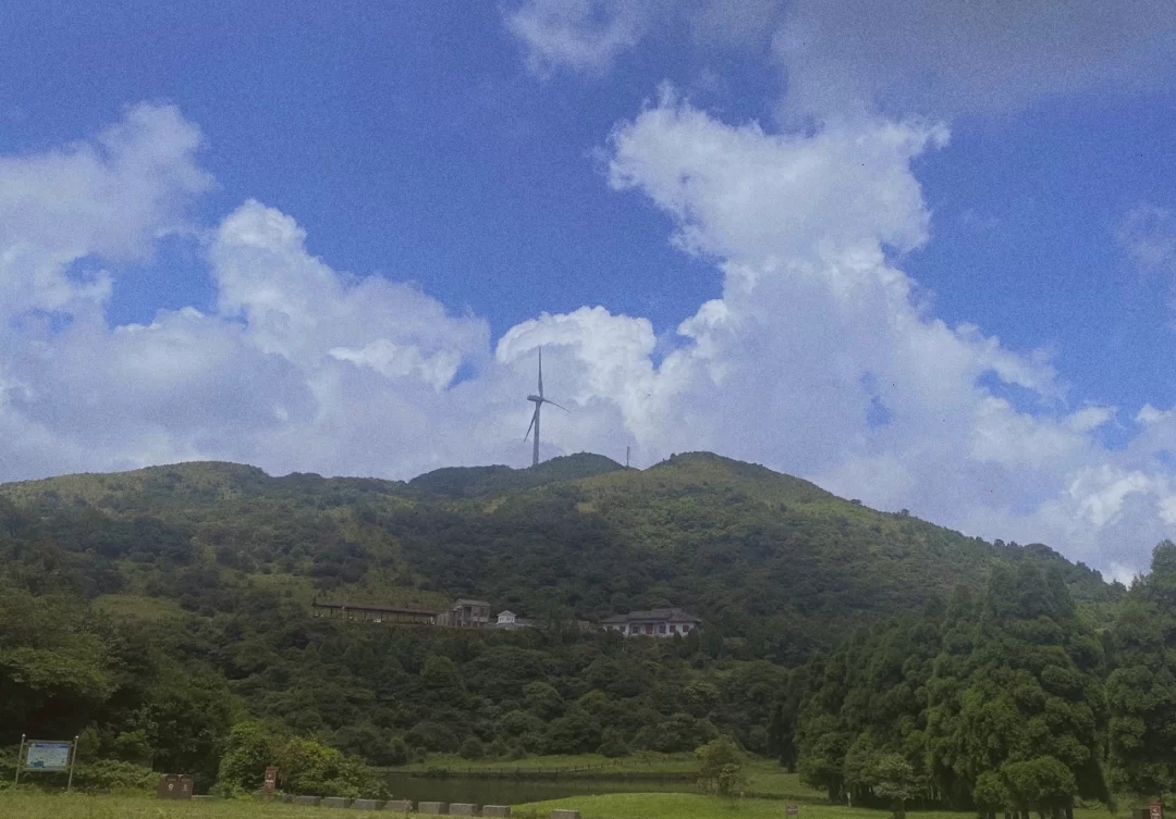 大容山露营三个露营点的区别,广西大容山森林公园露营