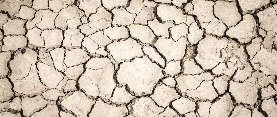 水产养殖em菌的正确使用方法,水产养殖em菌与乳酸菌有什么区别