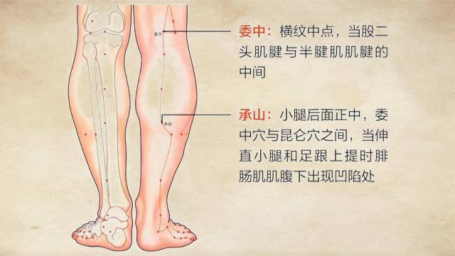 腰肌劳损艾灸哪个穴位最有效,腰肌劳损艾灸哪个穴位图