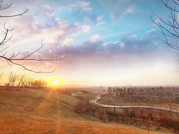 临淄世界足球起源地,世界足球发源地临淄