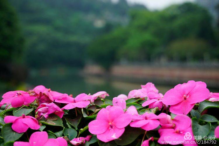 难忘贵州歌曲筒谱,难忘贵州歌曲