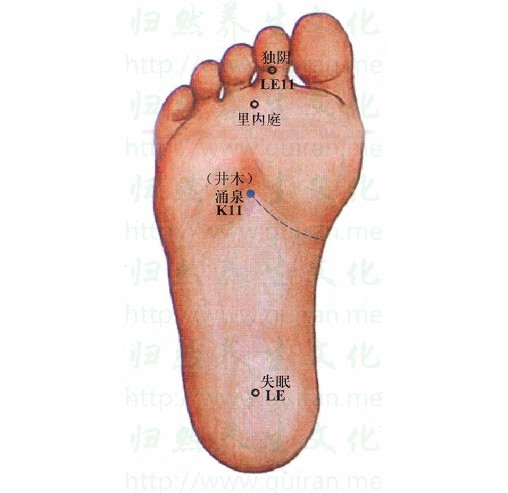 艾条养生知识大全,艾条熏灸治疗哪些病