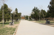 安徽省亳州市是几线城市,安徽省亳州市属于几线城市