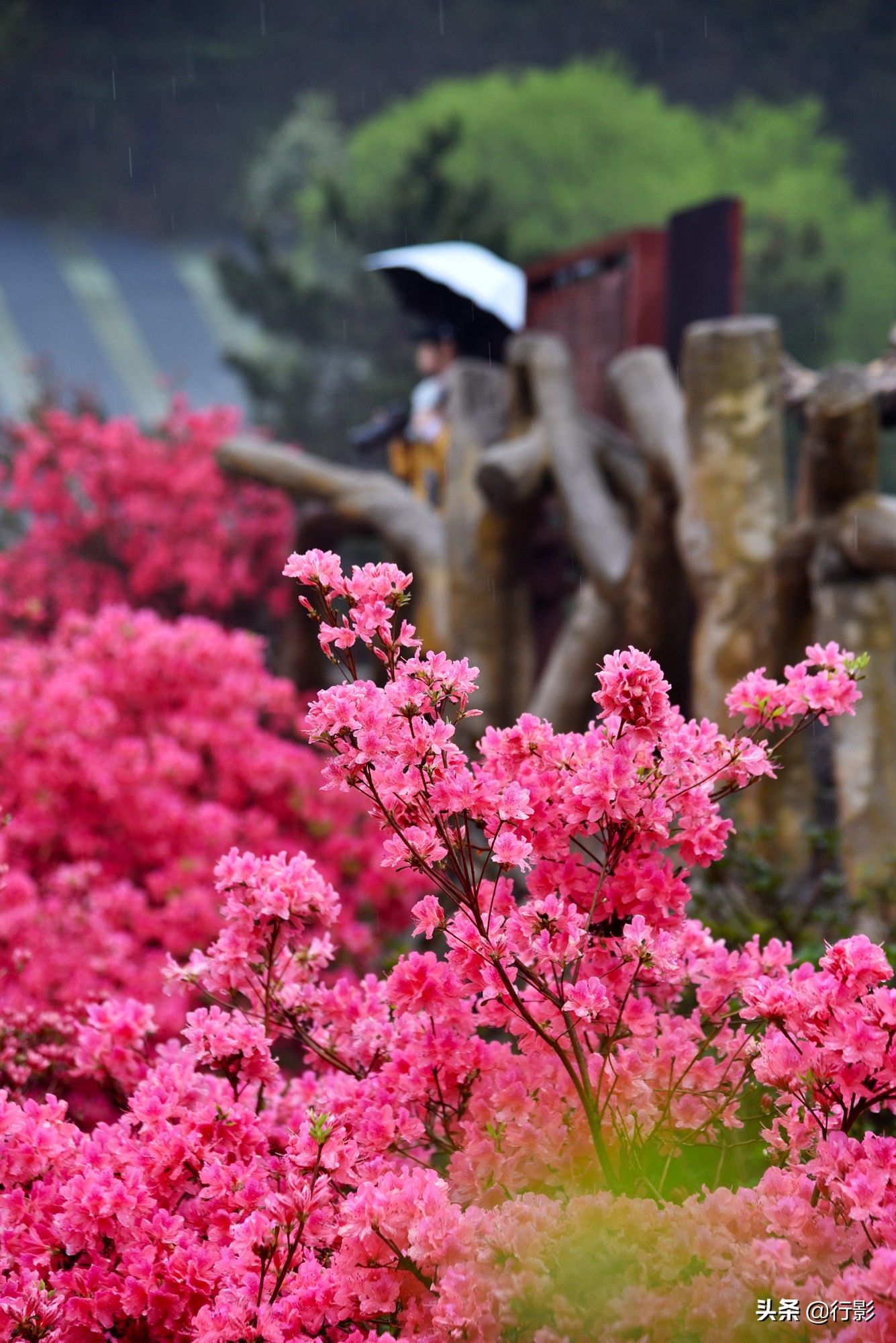 云雾山武汉,武汉汉口北打卡网红景点