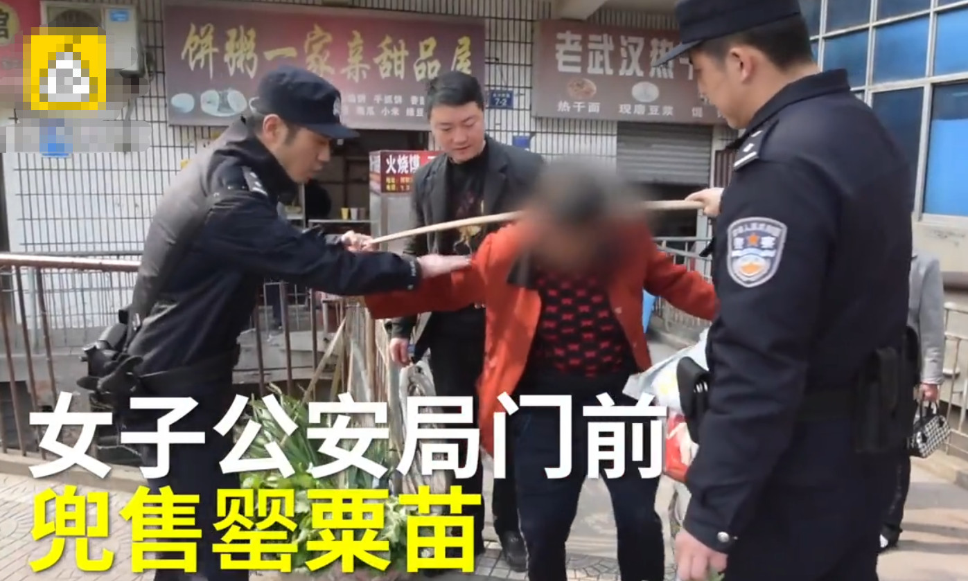 无知大妈在警局大门前卖*粟罂**苗，被抓后表示：不知是犯法行为