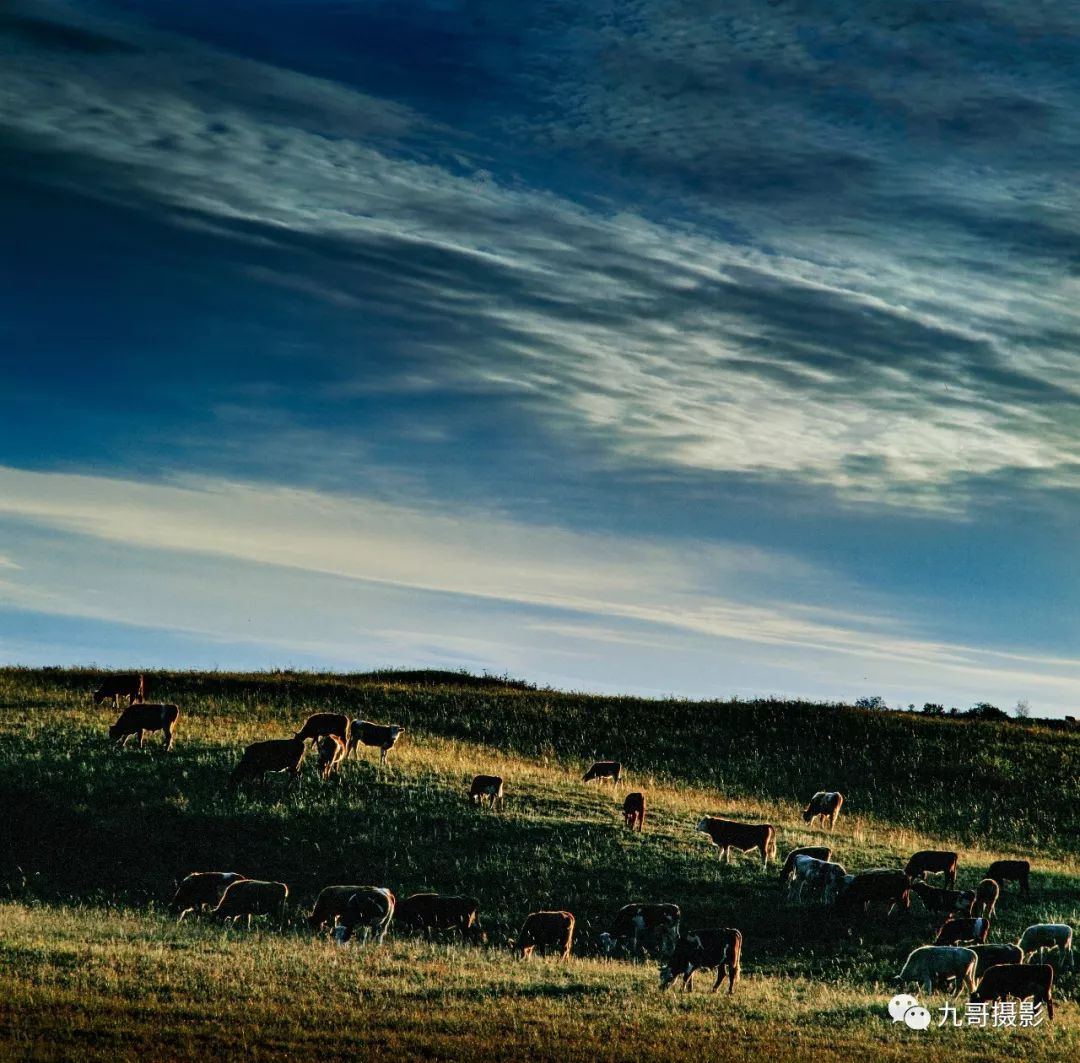大美坝上草原全景,大美坝上风光系列之一