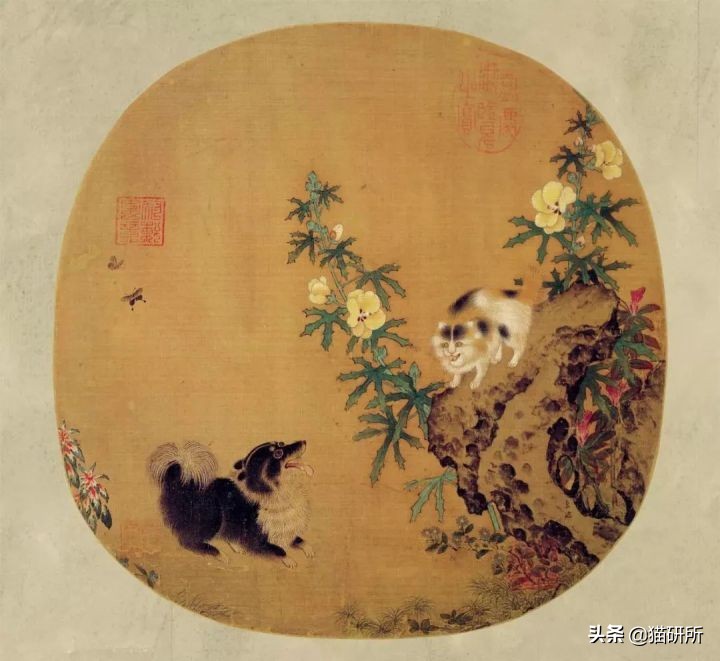 各种花色的猫在古代怎么称呼,猫咪在古代有哪些称呼呢