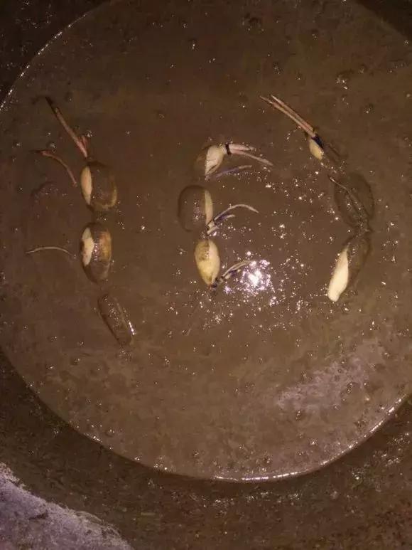 水缸种莲藕吃不完,旧水缸种莲藕的方法