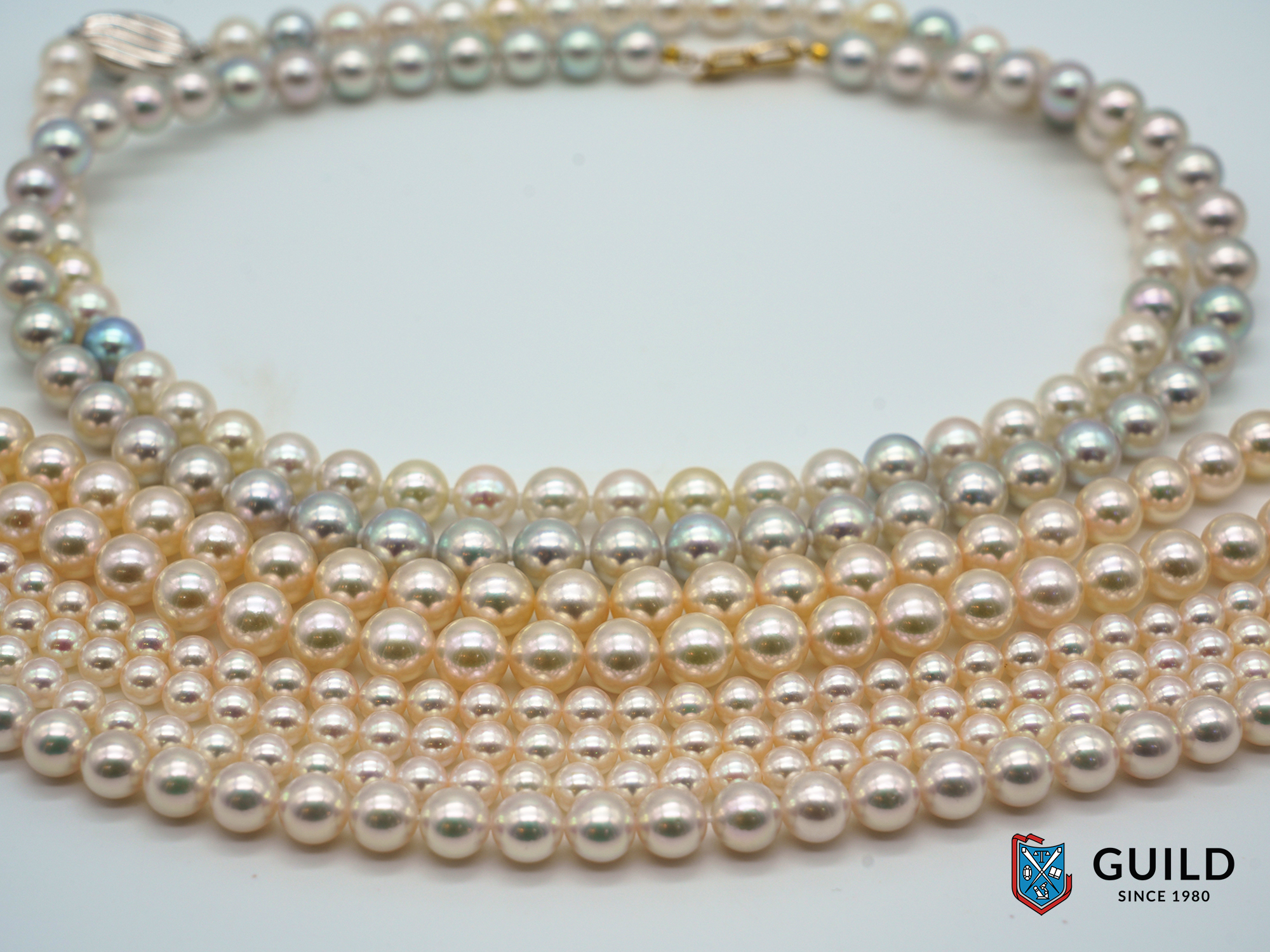 看了就想买的东西,看了就想买东西